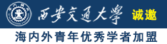 骚小妹影视诚邀海内外青年优秀学者加盟西安交通大学